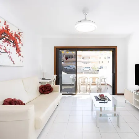 Live Cardon Las Americas *