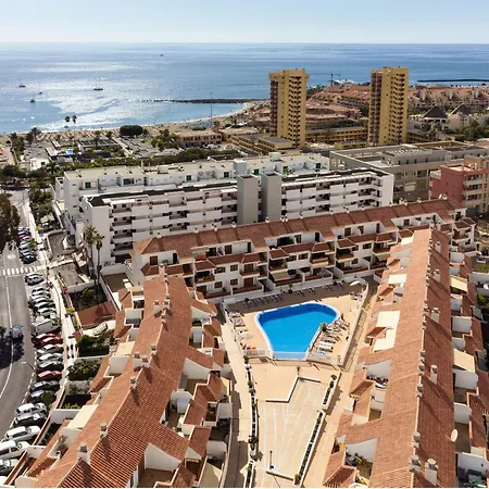 Live Cardon Las Americas