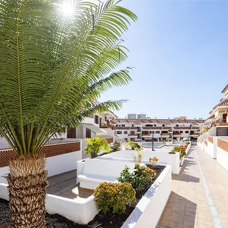 Live Cardon Las Americas Apartamento Arona (Tenerife)